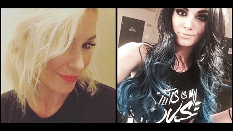 wwe diva fakes|The 100 Sexiest Diva Selfies!